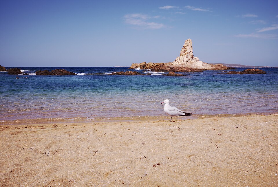 Cala Pregonda, Menorca